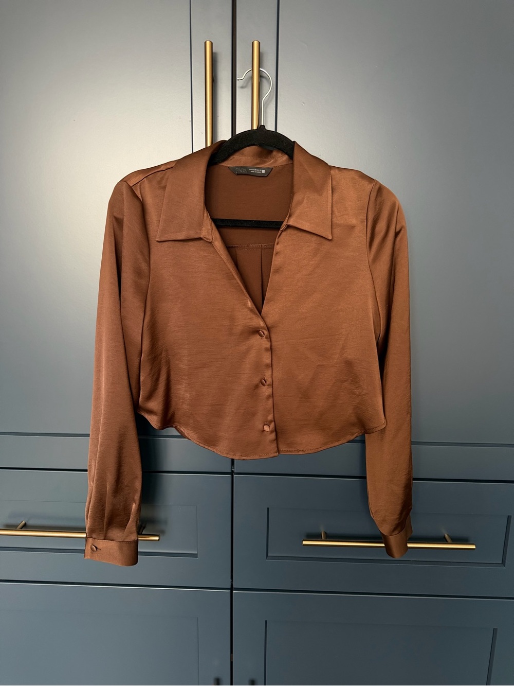 Zara Satin Button-Front Crop Top in Brown